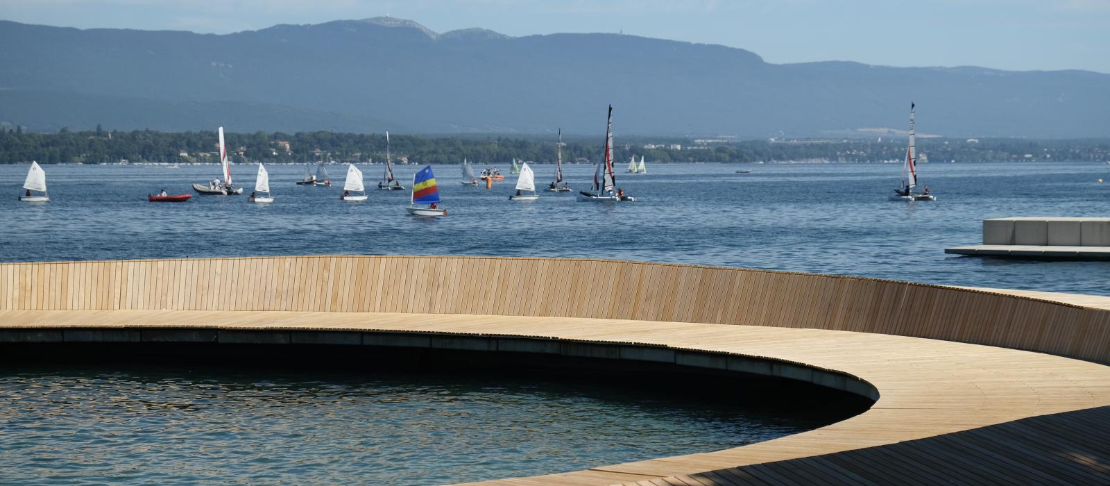 Îlots de fraîcheur au bord du quai de Cologny Îlots de fraîcheur au bord du quai de Cologny
