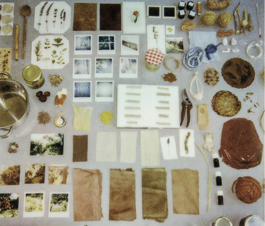 image : cop. Archives personnelles, 2025, Ophélie Selz