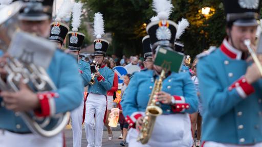 Vue de la Fête nationale du 1er août 2025 à Cologny