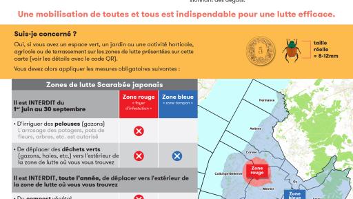 flyer au format image