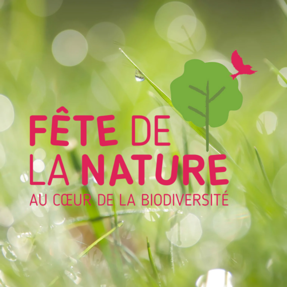 Illustration - fête de la nature