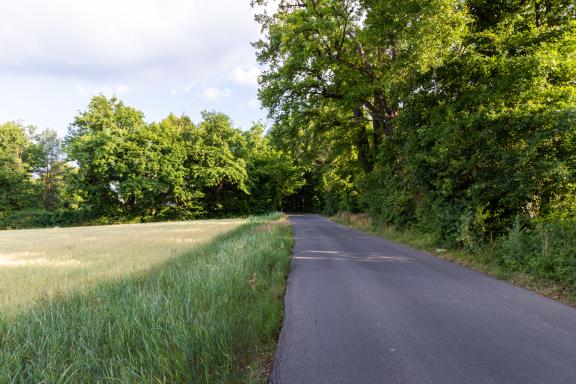 Chemin des Falquets