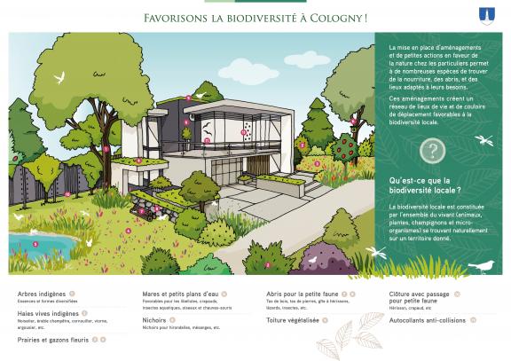 vue de synthèse d'une maison et de son jardin