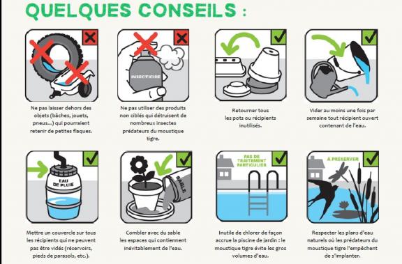Conseils de lutte contre le moustique tigre sous forme de vignettes illustrée
