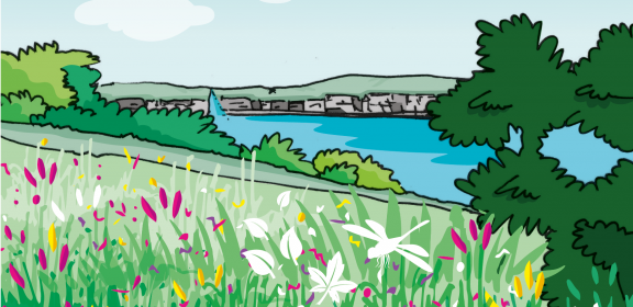 Illustration d'une vue sur la Rade depuis le pré Byron
