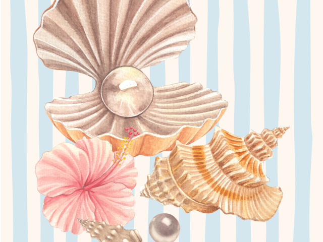 Coquillages sur fond rayé bleu et sable