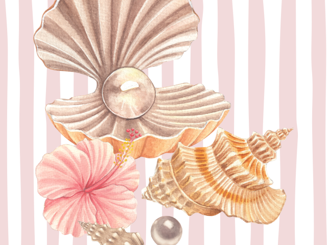 Coquillages sur fond rayé rose et blanc