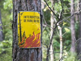 Interdiction des feux en forêt