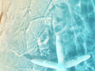 effet d'eau sur plage de sable avec étoile de mer blanche