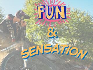 Camps Fun et Sensation