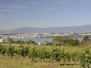 Mise à ban du vignoble