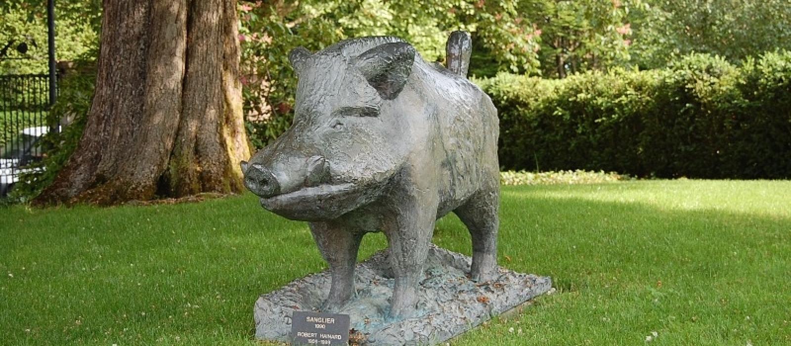 Hainard, Robert : Sanglier (1990)