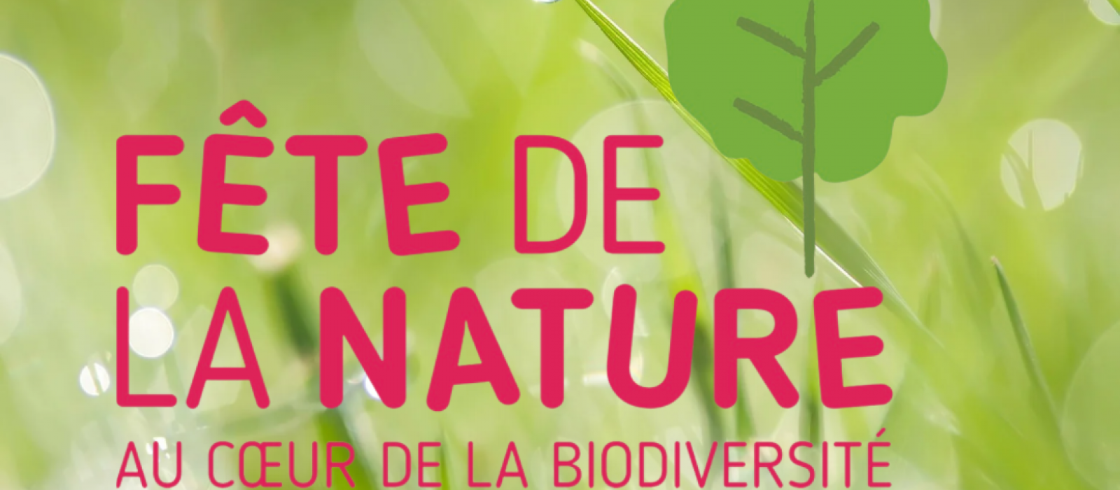 Illustration - fête de la nature