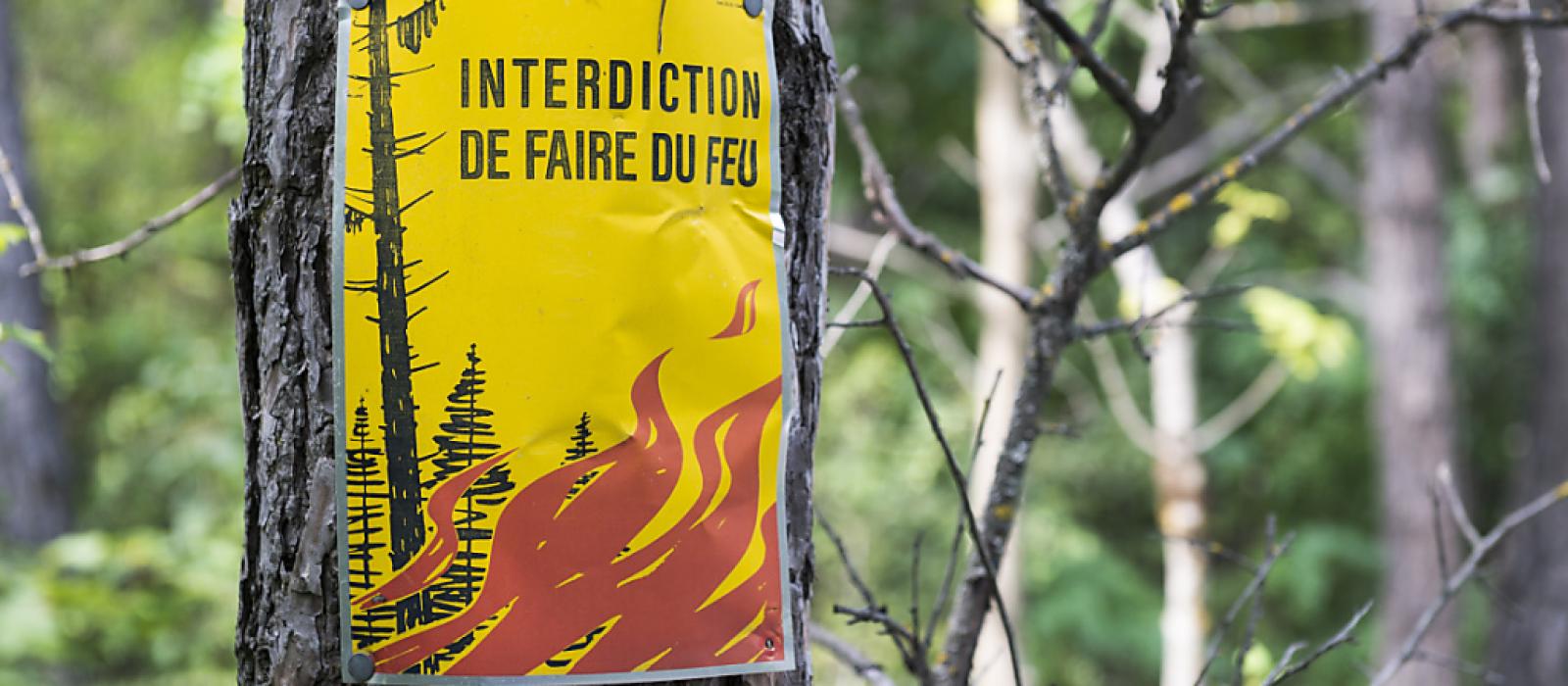 Interdiction des feux en forêt