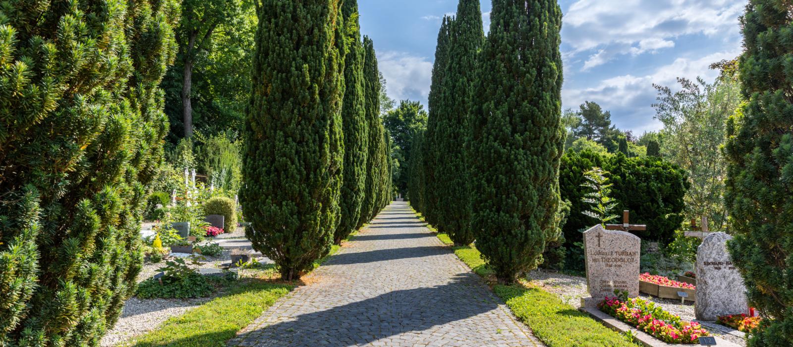 Cimetière de Cologny