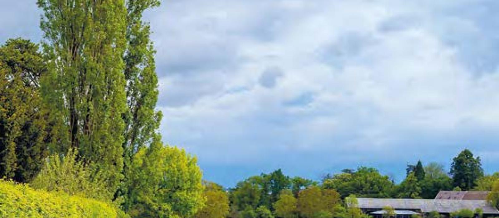 image Balade Dévelopement durable pour 2023