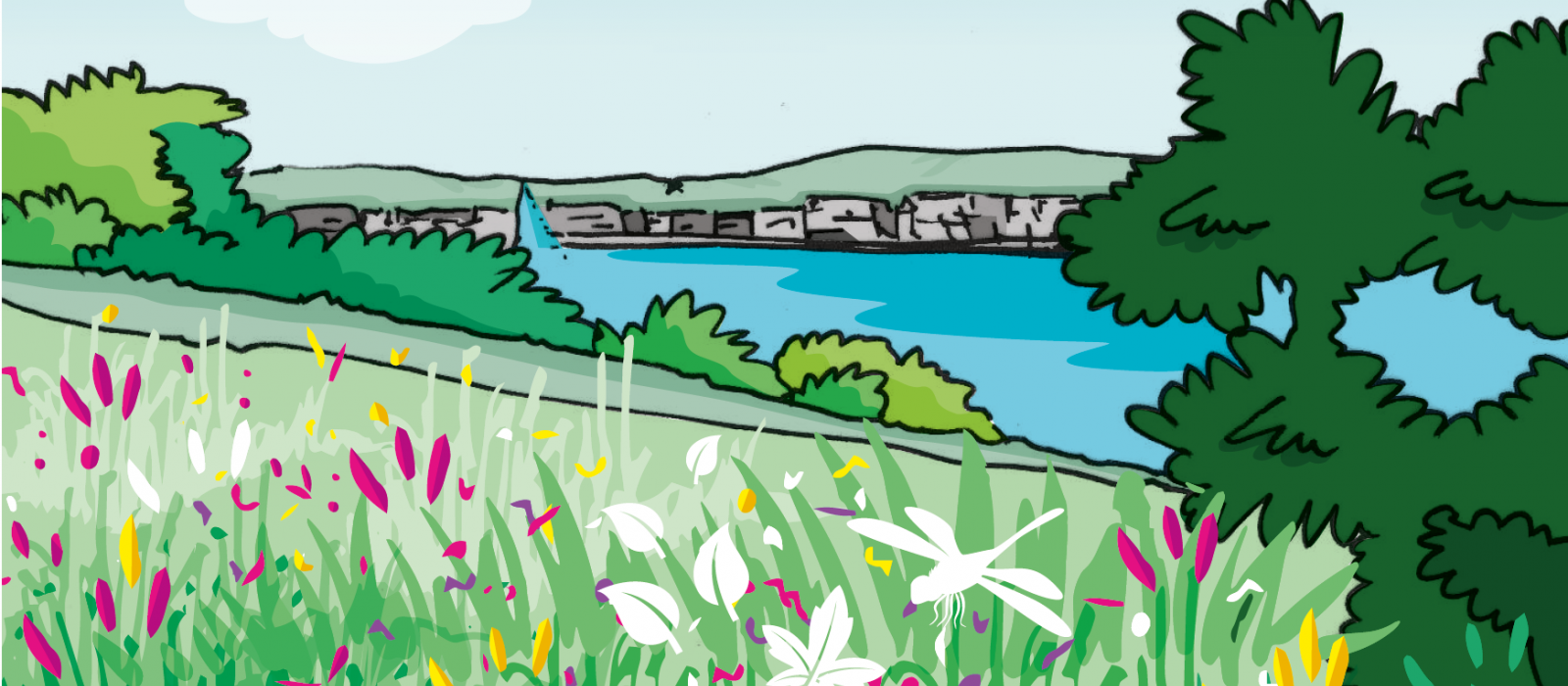 Illustration d'une vue sur la Rade depuis le pré Byron