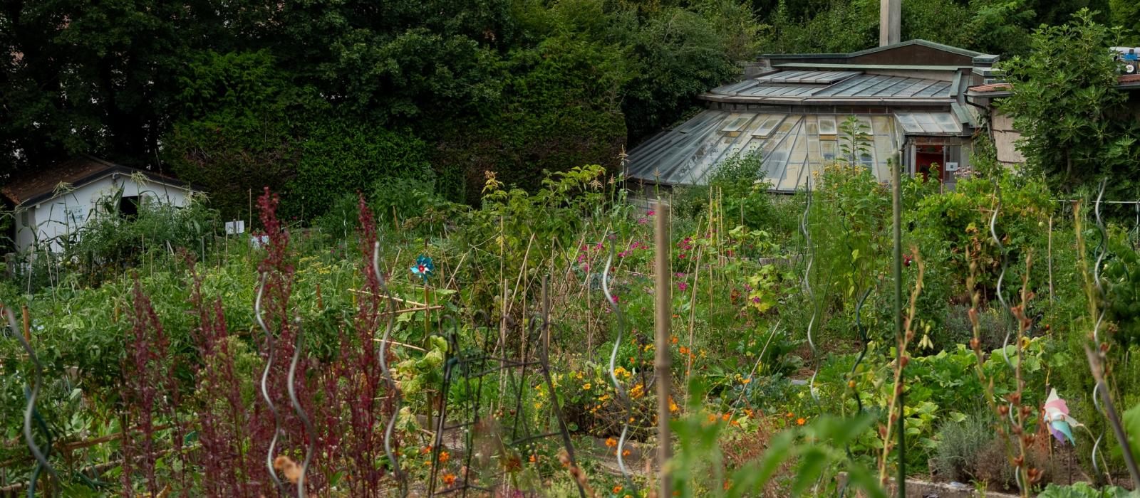 vue du potager par Jean Luc Andrianasolo