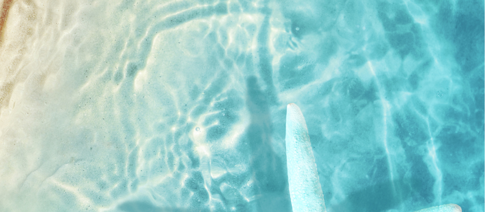 effet d'eau sur plage de sable avec étoile de mer blanche