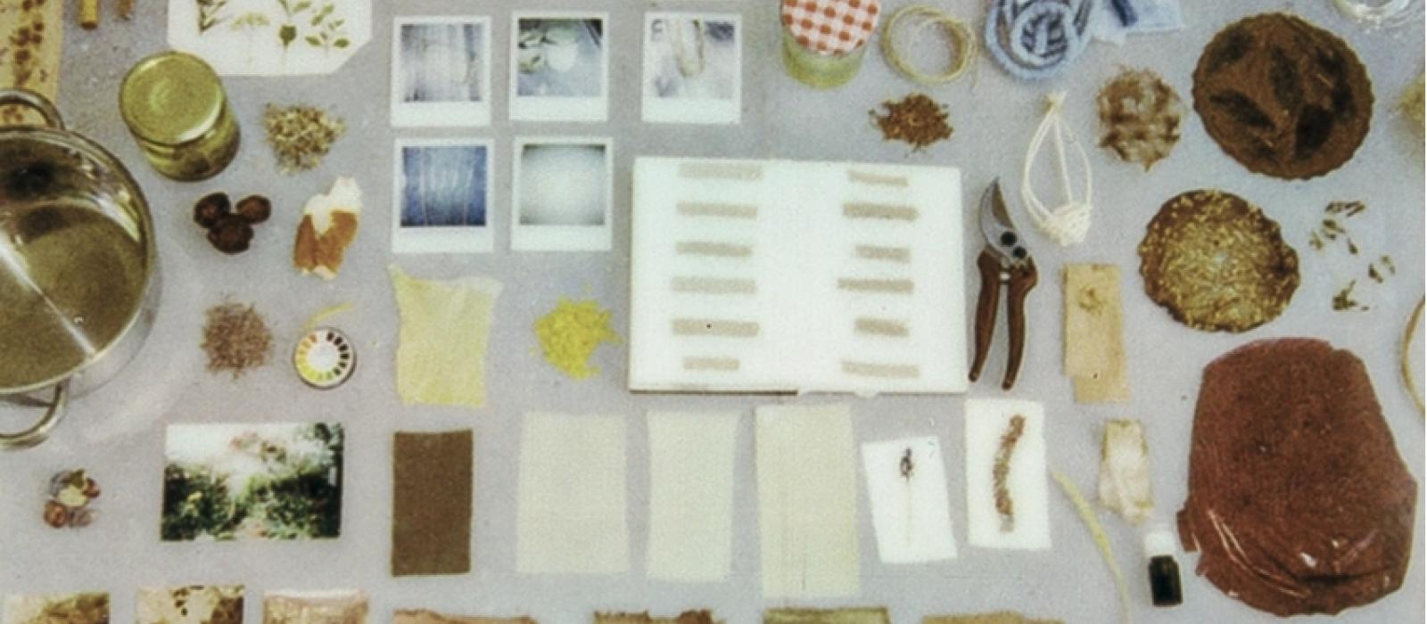 image : cop. Archives personnelles, 2025, Ophélie Selz