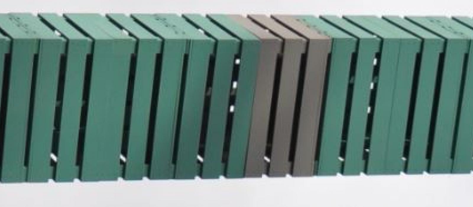 Valentin Carron: Dust Mint